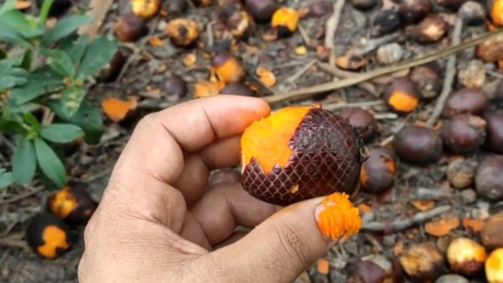 Assembleia Legislativa do Piauí