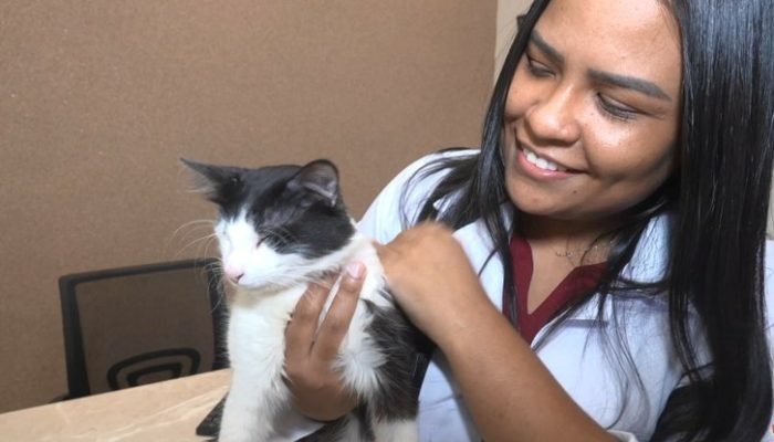 Assembleia Legislativa do Piauí