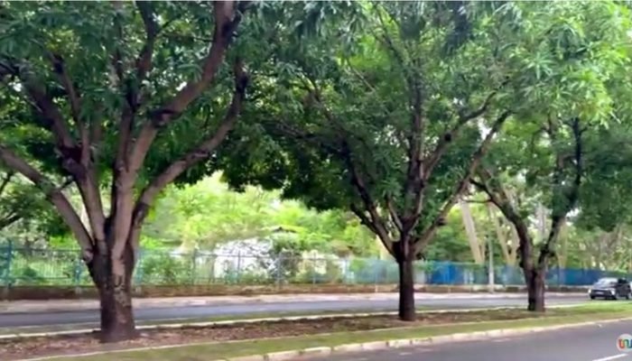 Assembleia Legislativa do Piauí