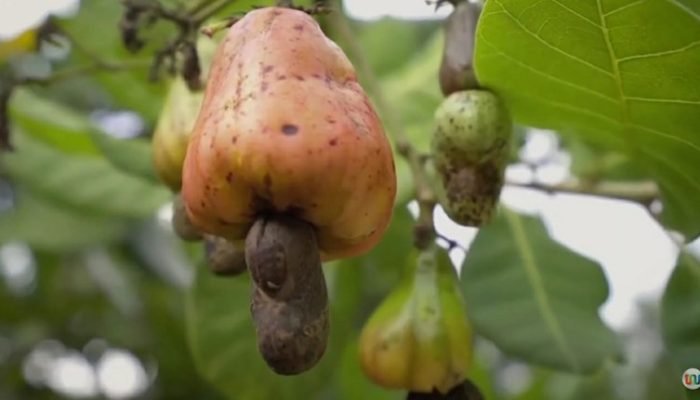 Assembleia Legislativa do Piauí