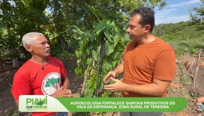 Assembleia Legislativa do Piauí