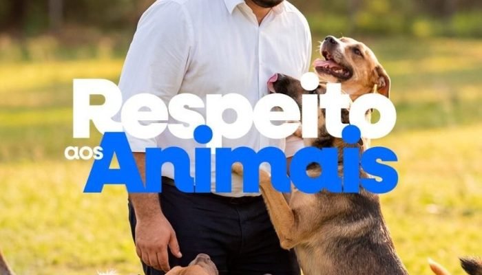 portalmedioparnaiba.com.br