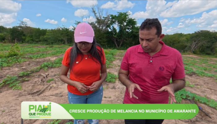 Assembleia Legislativa do Piauí