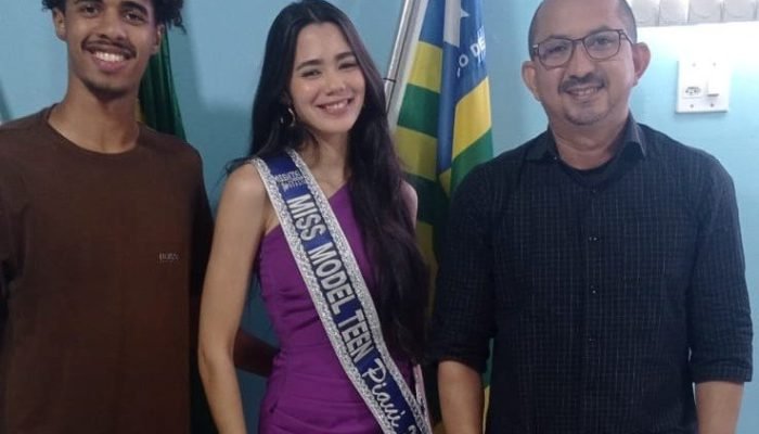 portalmedioparnaiba.com.br