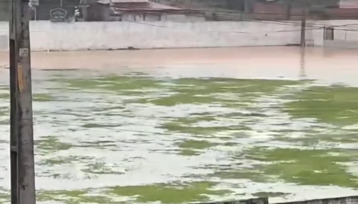 portalmedioparnaiba.com.br