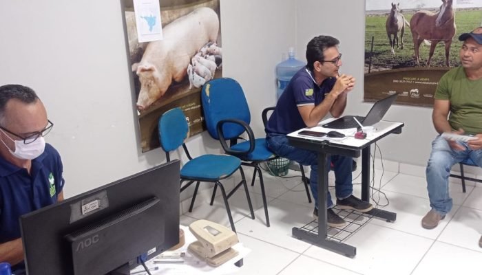 portalmedioparnaiba.com.br