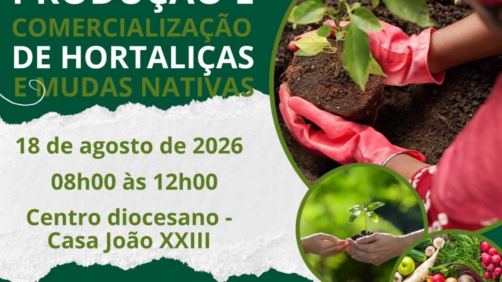 portalmedioparnaiba.com.br