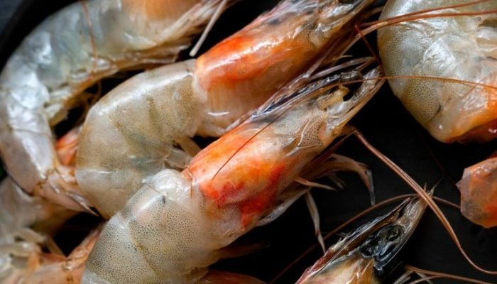 Assembleia Legislativa do Piauí