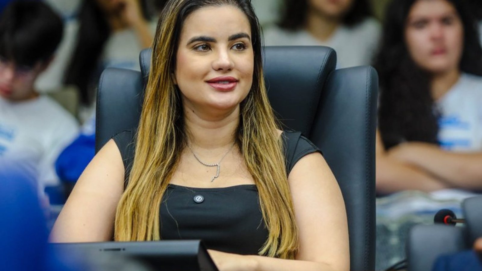 Assembleia Legislativa do Piauí