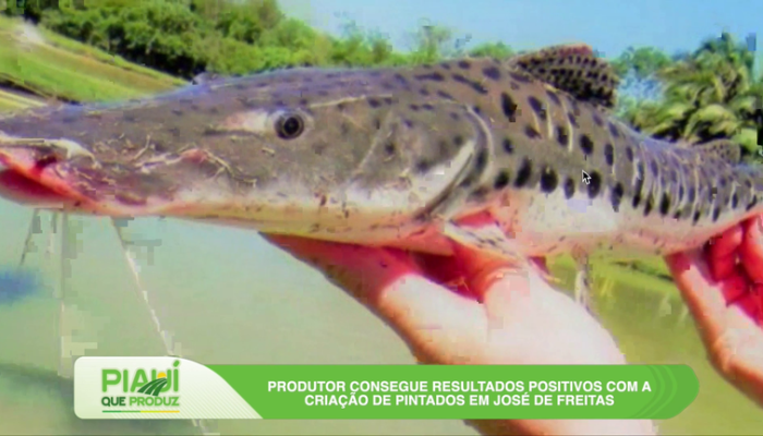 Assembleia Legislativa do Piauí