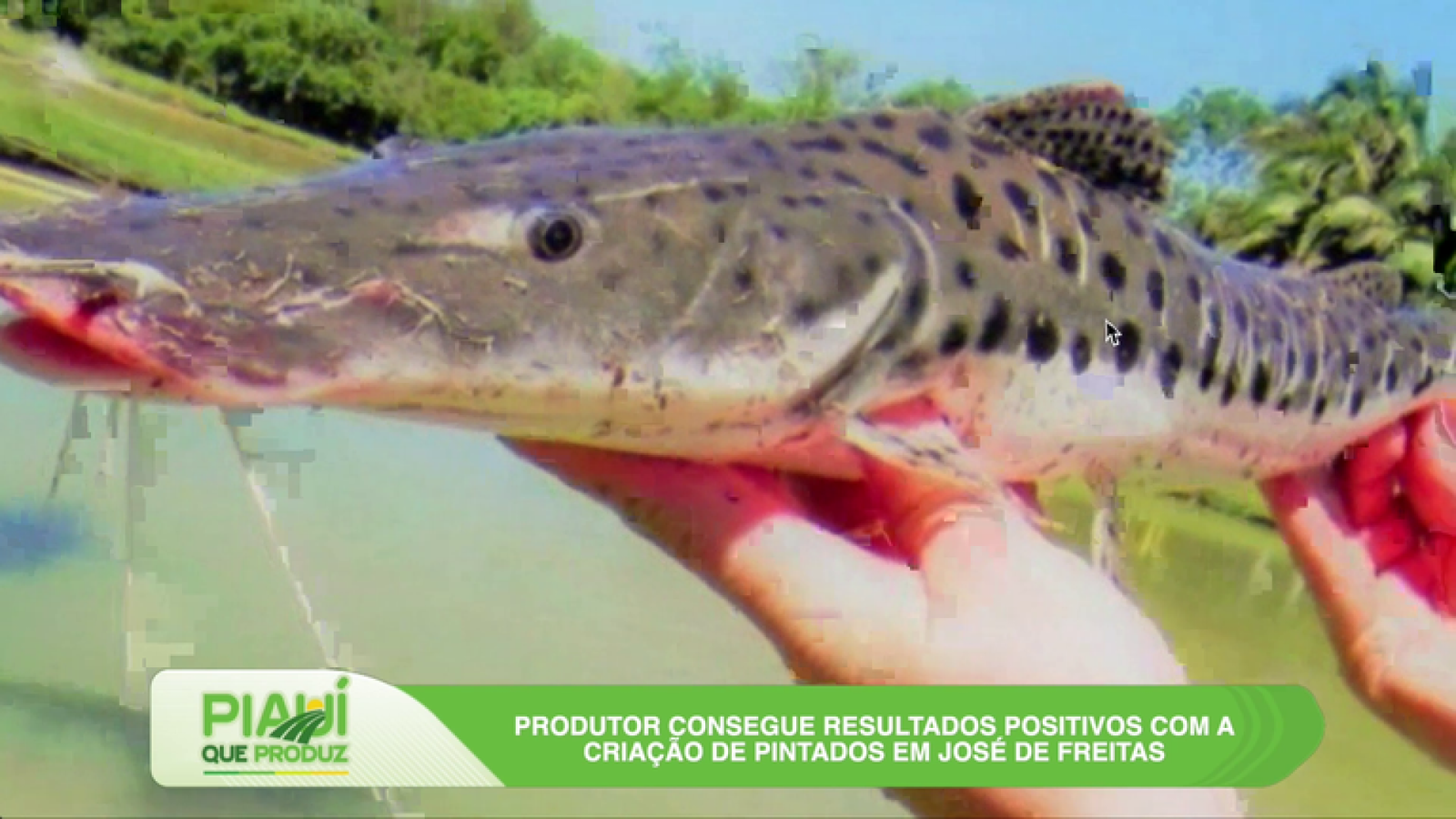 Assembleia Legislativa do Piauí