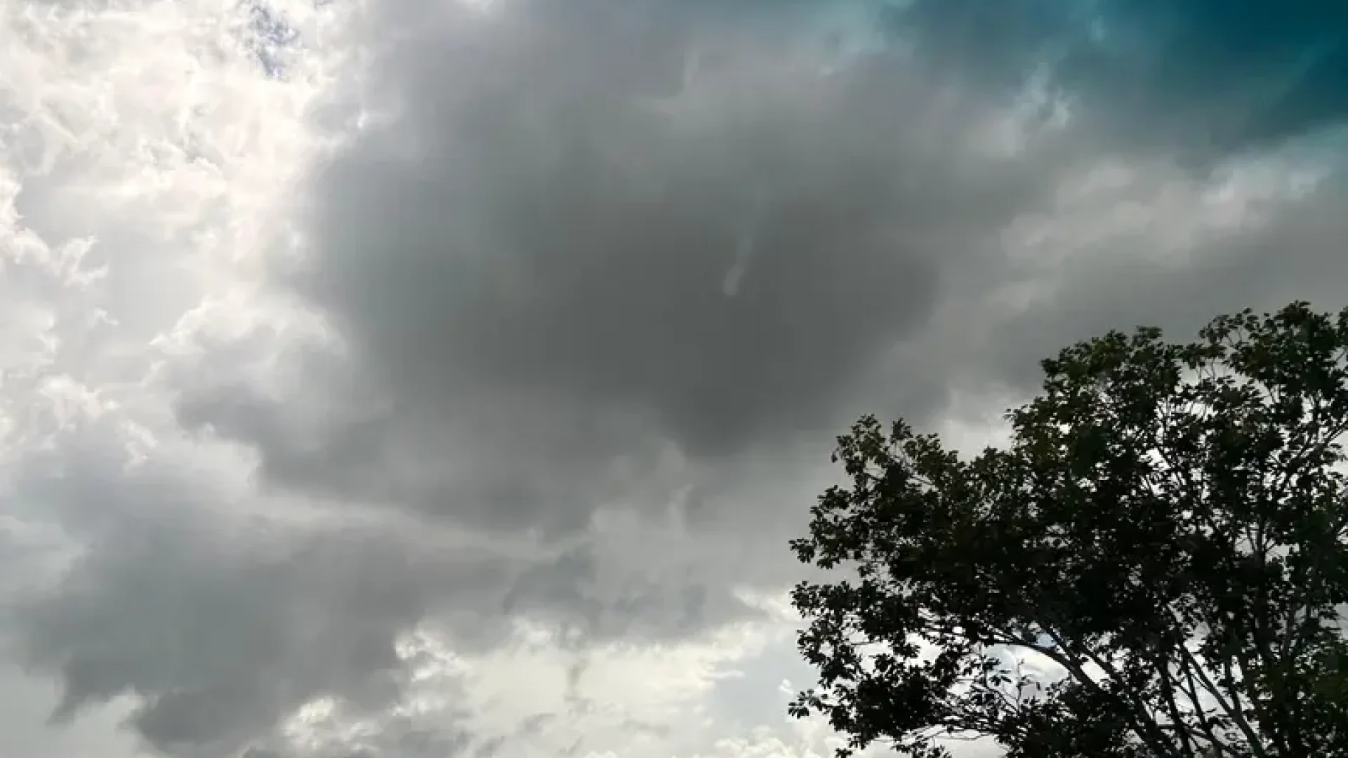 Maria Clara César/ Conecta Piauí