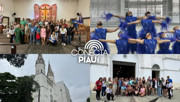 Conecta Piauí