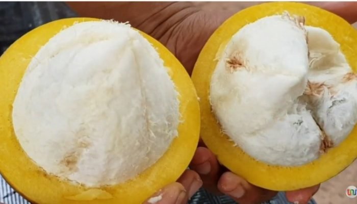 Assembleia Legislativa do Piauí