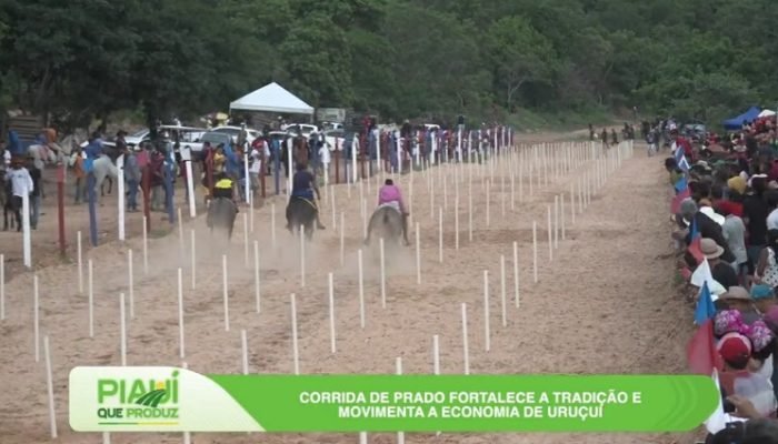 Assembleia Legislativa do Piauí