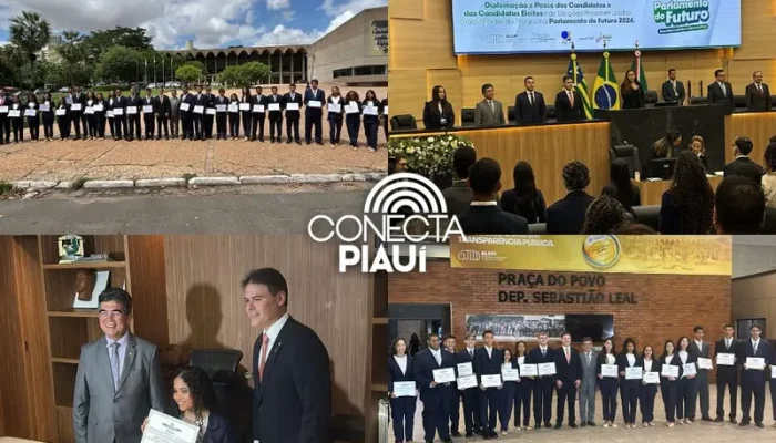 Conecta Piauí