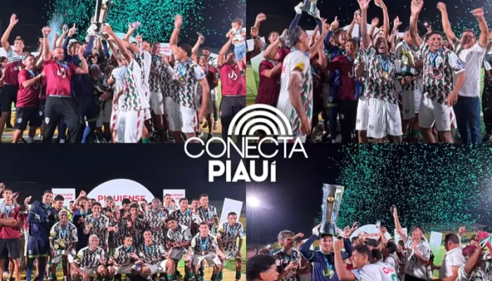 Conecta Piauí