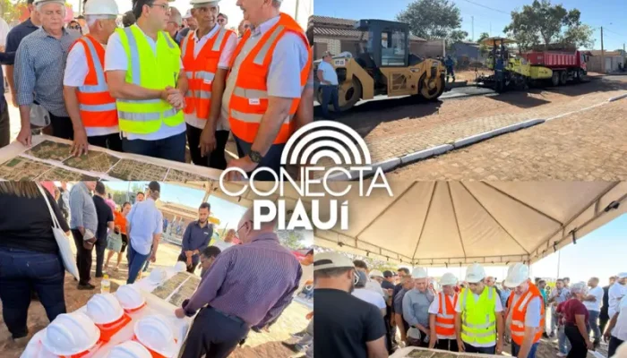 Conecta Piauí