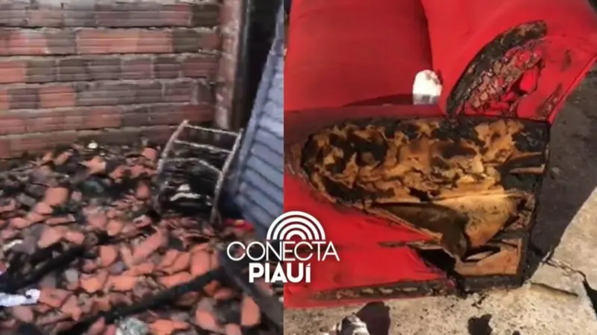 Reprodução