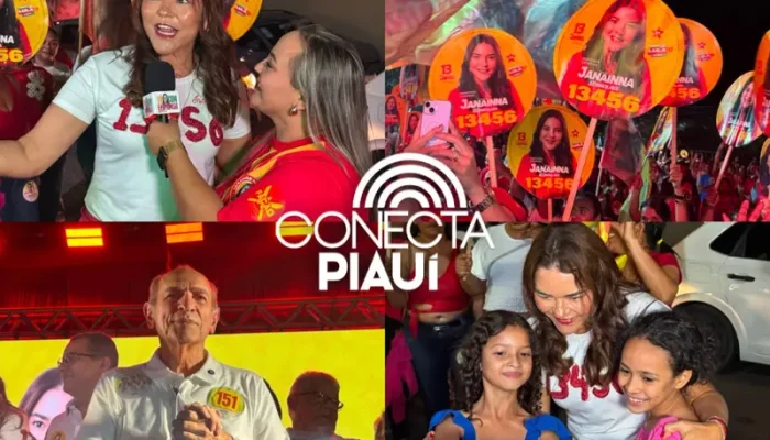 Conecta Piauí