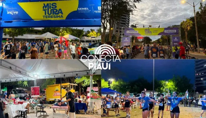 Conecta Piauí