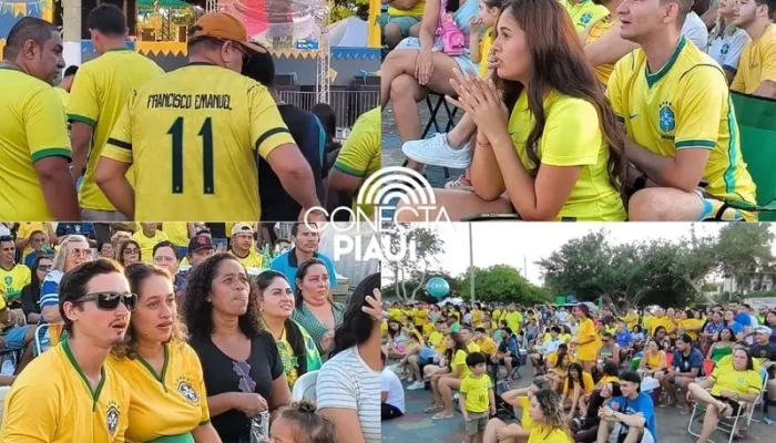 Conecta Piauí