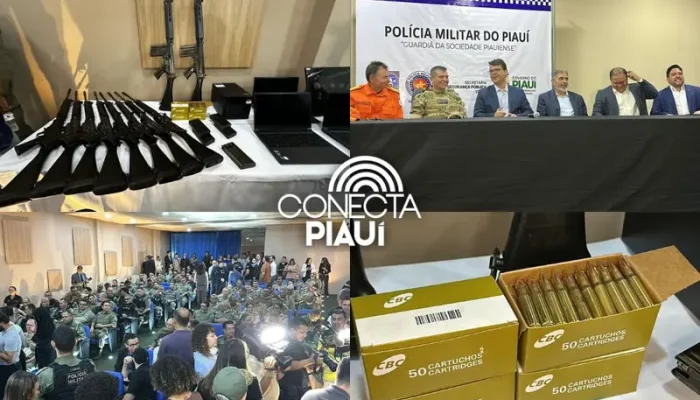 Conecta Piauí