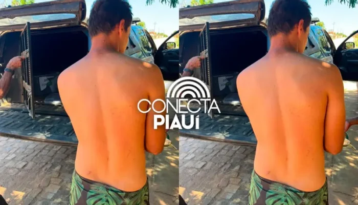Conecta Piauí
