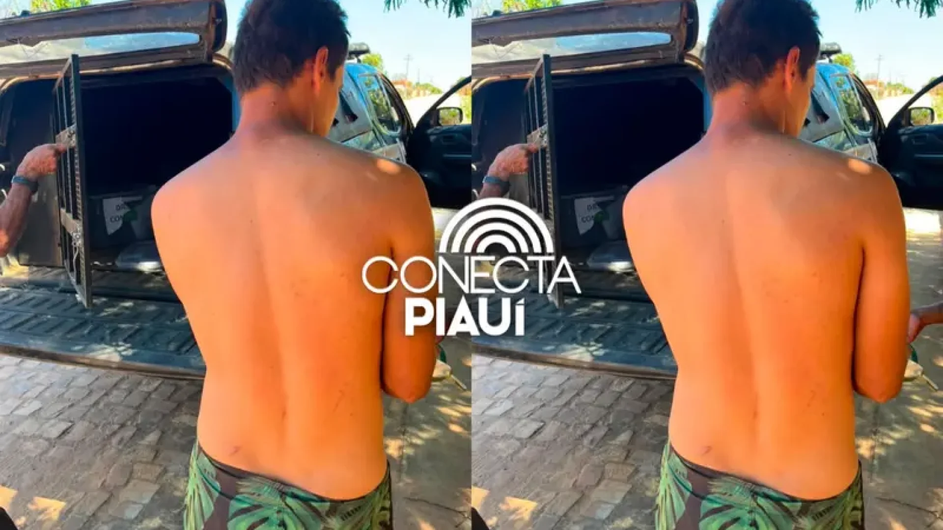 Conecta Piauí