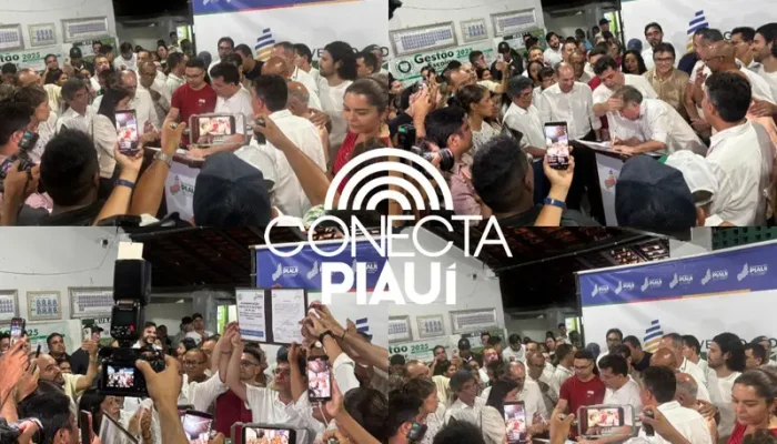 Conecta Piauí