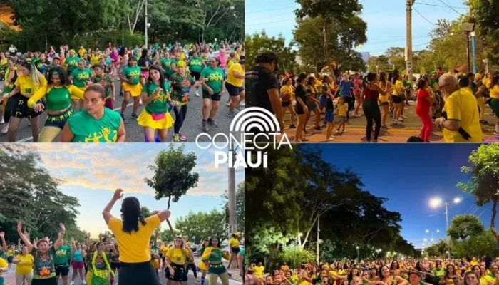 Conecta Piauí