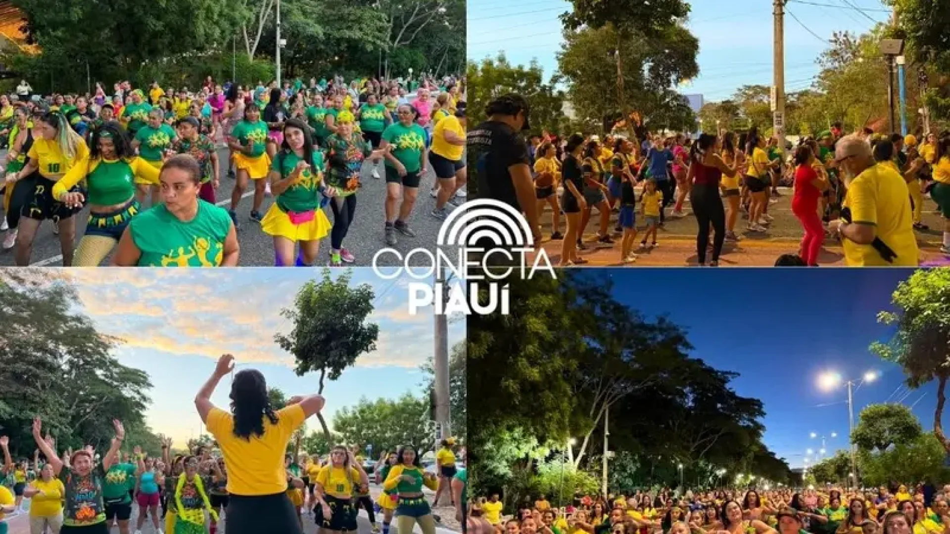 Conecta Piauí