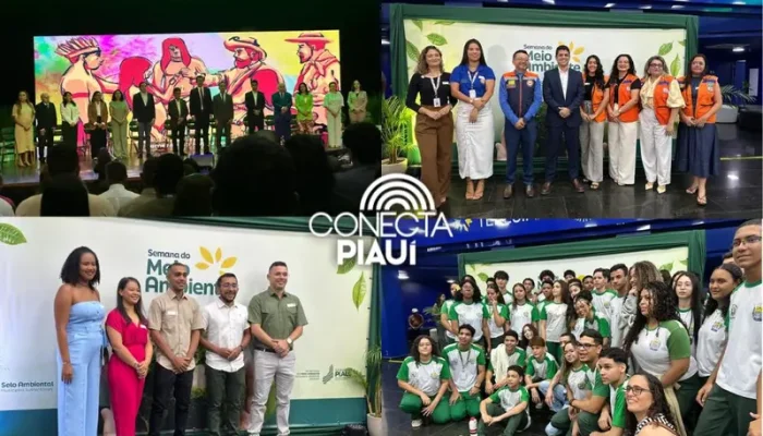 Conecta Piauí