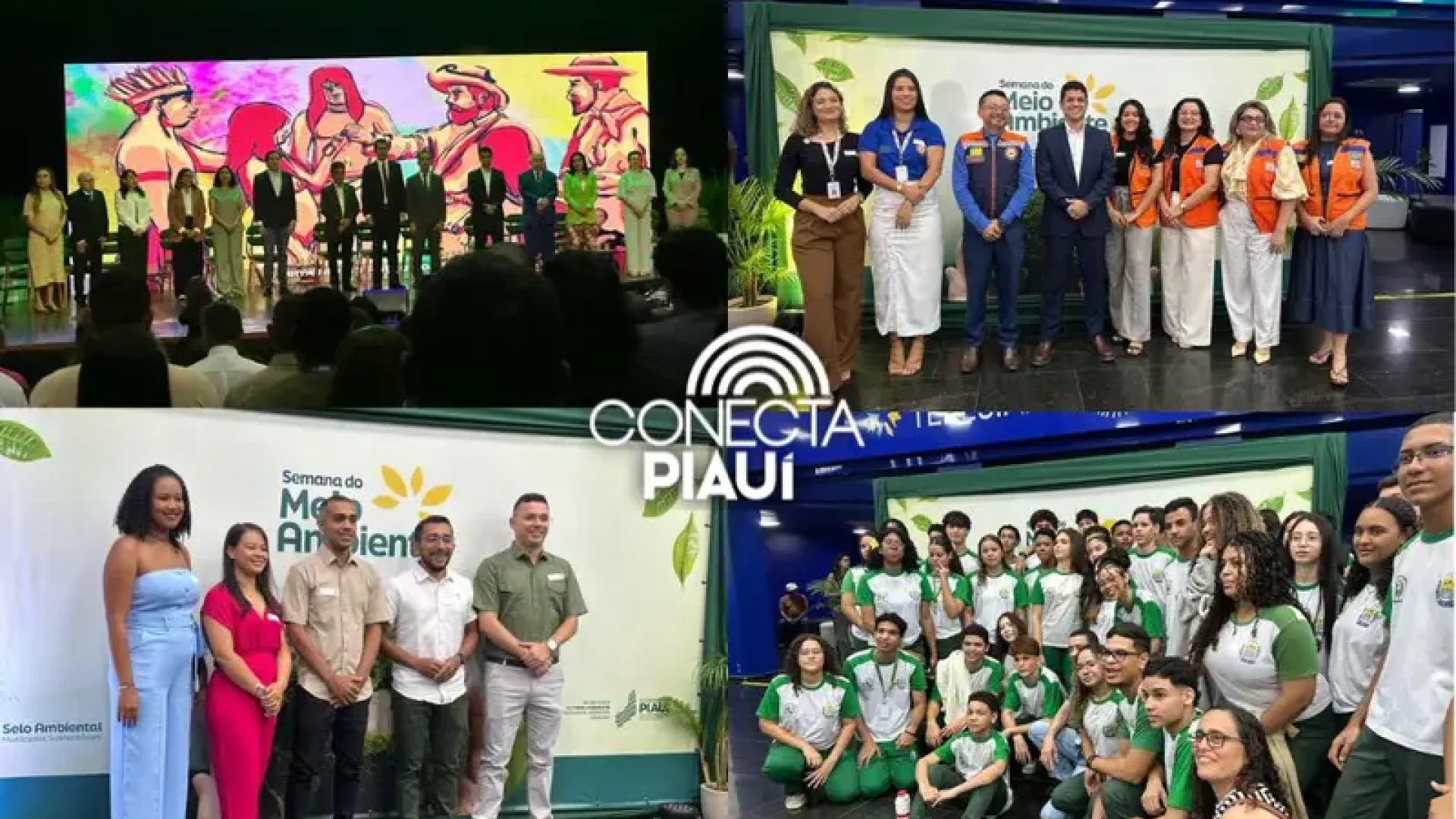 Conecta Piauí