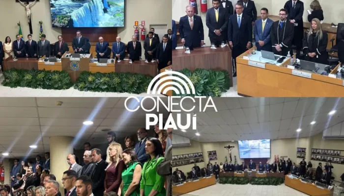 Conecta Piauí