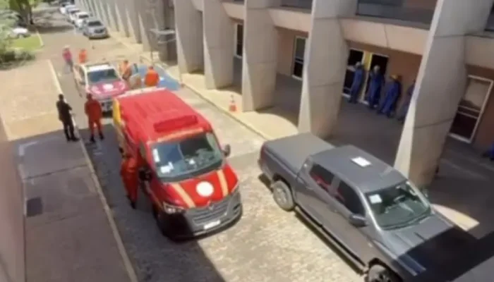 Reprodução