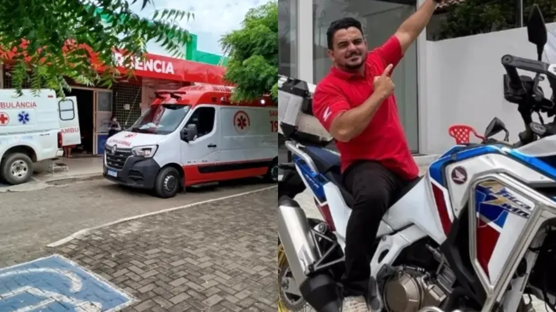 Reprodução